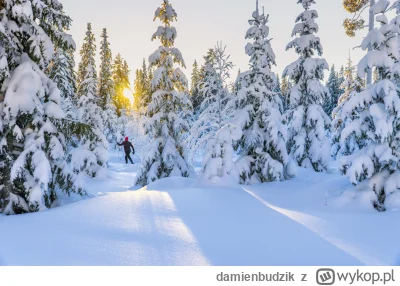 damienbudzik - Norwegia: Właśnie byl NAJZIMNIEJSZY dzień stulecia -49,7°C  

Szwecja:...