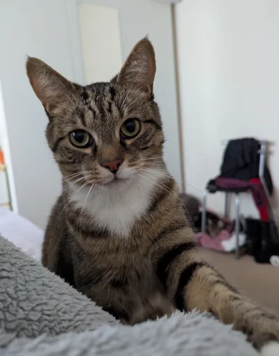 szzzzzz - Typowy Alex kiedy trzeba pogłaskać 
Wyciąga łapkę i pac pac po ramieniu 
#a...