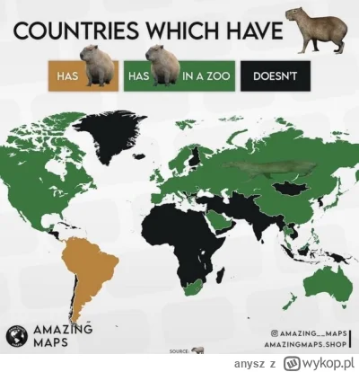 anysz - Kapibara, kapibara. #mapy  #zwierzaczki