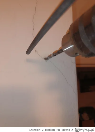 czlowiekzlisciemnaglowie - @czlowiekzlisciemnaglowie
To małe DEMO moich zdolności