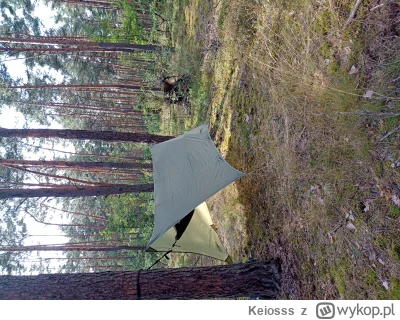 Keiosss - W końcu nocka w jakimś przyjemnym lokum 

#bushcraft #survival #las