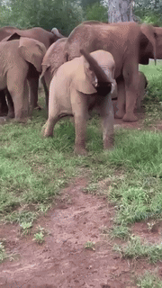 mlotowiertarka - #logikaniebieskichpaskow #heheszki