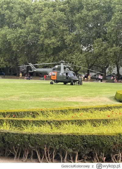 GosciuKolorowy - @mapache jeszcze z innej perspektywy