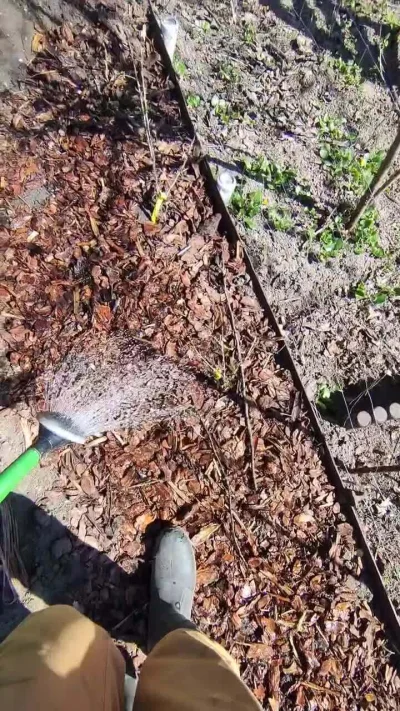 Krupier - Zaczyna mnie doprowadzać do szału ta działka, ale i tak lubię to chupskie ż...