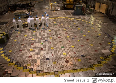 Sweet-Jesus - @Rozszczep: Układ elementów rdzenia reaktora RBMK: 
Niebieskie - źródła...