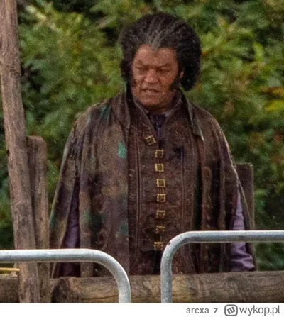 arcxa - Regis jak malowany XDDD

#neflix #heheszki #wiedzmin #seriale