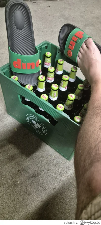 yokash - na bogato ( ͡° ʖ̯ ͡°)

#dino #gpw #heheszki #polska #dinoklapki