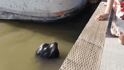 Drom - Dobranoc, uważajcie na siebie.