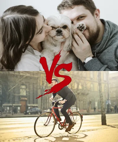 PEPELeSfont - Psiarze vs Pedalarze, kto jest bardziej wkurzający. Rozstrzygnijmy to r...