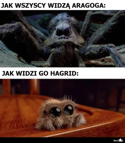 yagodowa - #harrypotter