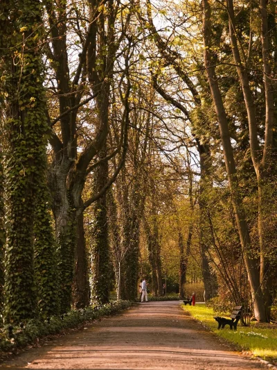 mroz3 - #dziendobry Ciepło, pochmurno, przelotne opady.

WIATR............ wschodni p...