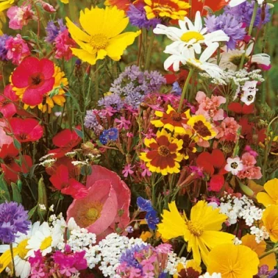 MateuszRogalski87 - ( ͡°( ͡° ͜ʖ( ͡° ͜ʖ ͡°)ʖ ͡°) ͡°) Mysle że moge w poszukiwaniu odpr...