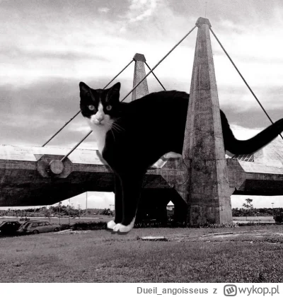 Dueil_angoisseus - #betonowykotek

#kot #kitku #koty #architektura #brutalizm