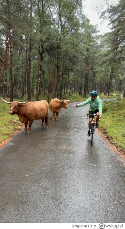 DragonXTR - 330 921 + 138 + 200 + 200 = 331 459

Krótka podróż po Holandii odbyta

#r...