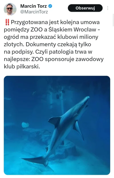 SzyszQ - Grubas Expozito wyssie hajs z zoo a potem zezre tego rekina, następnie odejd...