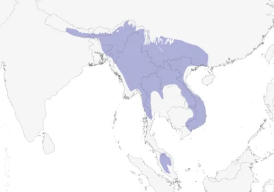 Lifelike - Zasięg występowania: