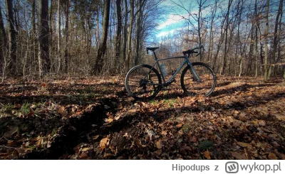 Hipodups - 44 157 + 37 = 44 194

7x3' pod wiatr i lekkie wzniesienie na 350w(5.5w/kg)...