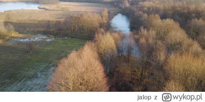 jalop - Hej koledzy z działu wędkarskiego #wedkarstwo #ryby
Posiadam staw, który licz...