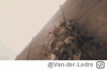 Van-der-Ledre - @Vanderwill: Zmielą kolejne 180, 200, 300, 500 tys, w rossji życie lu...