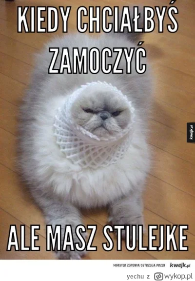 yechu - #danielmagical