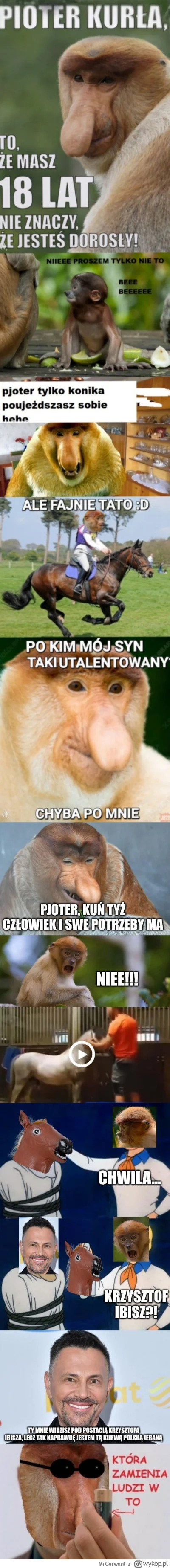 MrGerwant - #konkursnanajbardziejgownianymemznosaczem #sztukadlasprawiedliwych #j----...