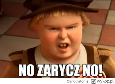 Cyngulator - Mój stary przed telewizorem o 12:00
#11listopada