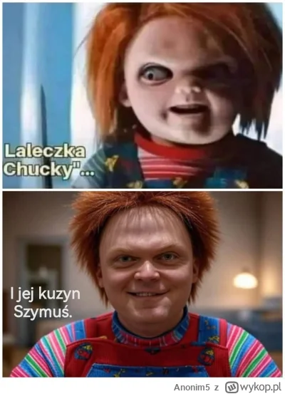 Anonim5 - #polityka #heheszki #holownia