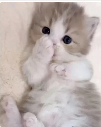 inkill - @salanderek: