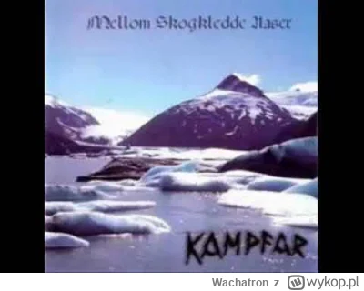 Wachatron - #blackmetal

kiedyś to był Kampfar.... ;)