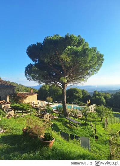 bulba1605 - Toskańskie ciepełko (ʘ‿ʘ)

#wlochy #podrozujzwykopem podroze #slonce