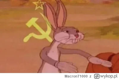 MacronT1000 - @KladzSie: