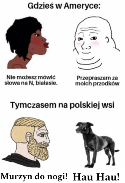 KW23 - #polska #usa #rasizm #wies #heheszki #humorobrazkowy #humor