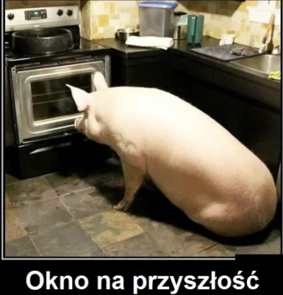 Exit25 - #kononowicz ale jaja atakujooo na tagu 🤣 że świnie chciałem podłożyć. 
Jedy...