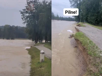 kamilxpompa - Tymi woreczkami, to mogą sobie dziurę w gaciach latać #powodz