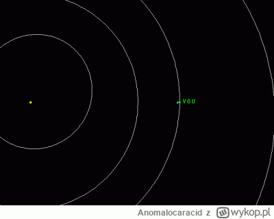 Anomalocaracid - @lycaon_pictus: