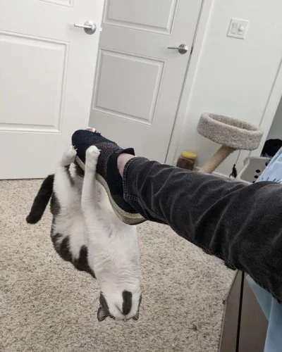 jestemtakizmeczony - @jestemtakizmeczony: