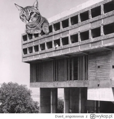 Dueil_angoisseus - #betonowykotek

#kot #kitku #koty #architektura #brutalizm #pokazk...