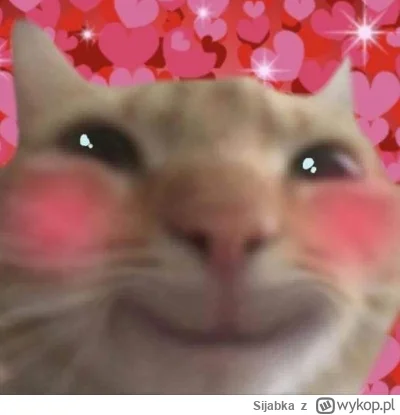 Sijabka - Dzisiaj koleżanka z pracy powiedziała mi, że mam piękne włosy, a potem pani...