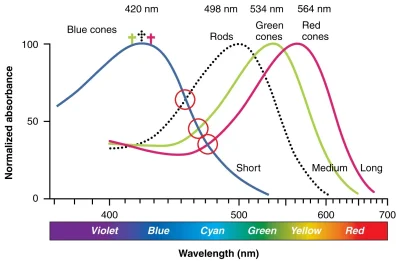 tojestmultikonto - #tojestmultikonto #ojciecmateusz

Niech mi ktoś wytłumaczy co ja z...