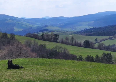 El_mirabel - Mam do was Mirki i Mirabelki pytanie. Planuję spędzić nadchodzący weeken...