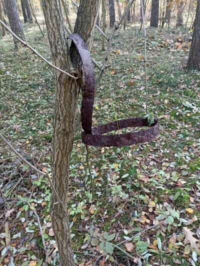 Baczny_Obserwator - Pasek skórzany, aż się wykręcił ze starości. Ciekawe, jaka histor...