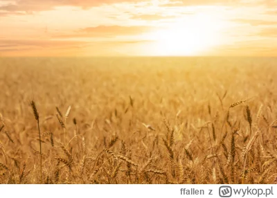 ffallen - Byłem tylko w I i II nocy jak weszły zmiany.  Powie ktoś czy później były a...