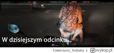 Towarzysz_Sobaka - #raportzpanstwasrodka