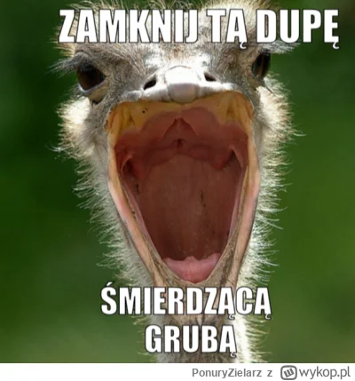 PonuryZielarz - @antekstr