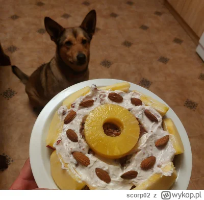 scorp02 - @scorp02: I giga owsianka po biegu ( ͡° ͜ʖ ͡°)