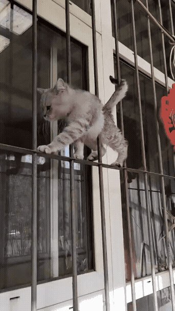 jestemtakizmeczony - Ah, ha, ha, ha, stayin' alive
https://www.youtube.com/watch?v=z...