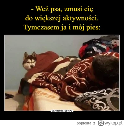 popiolka - To teraz my