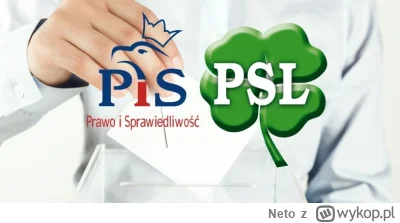 Neto - Zakładając, że Trzecia Droga wejdzie do Sejmu, jakie są szanse, że PSL i Polsk...