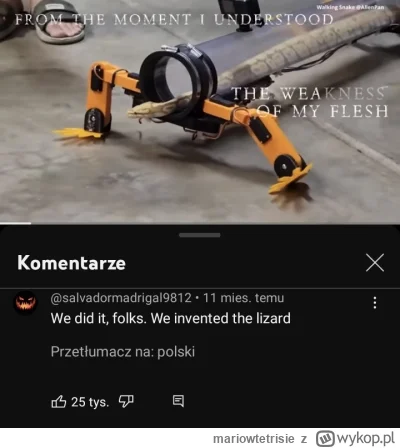 mariowtetrisie - Xd #heheszki