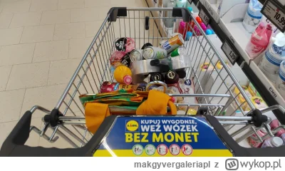 makgyvergaleriapl - Lidla otworzyli na osiedlu, trzeba było zwiedzić...
Mają drinki w...